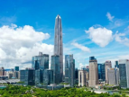 上半年天津市民营企业进出口1662.7亿元，增长10.9%