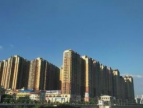 南宁江南区加大市场主体纾困力度，为企业落地投产做好“三服务”