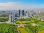 数智创未来 会畅通讯受邀出席粤港澳大湾区CIO高峰论坛