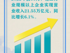 2022年前11月轻工行业规模以上企业实现营收21.55万亿元，同比增长6.1%